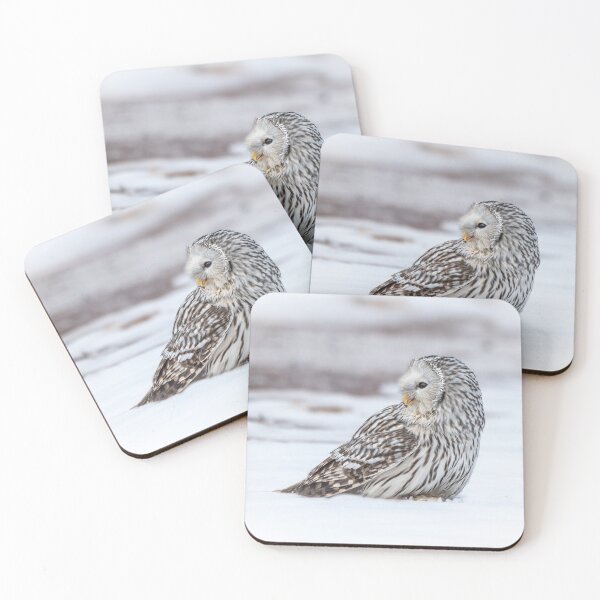 Item preview, Ural Owl designed and sold by Steve Liptrot Photography.