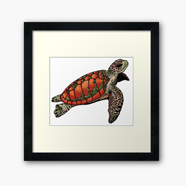 Item preview, Ace, The Sea Turtle designed and sold by CelePencil.