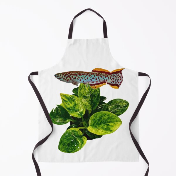Item preview, Gardneri and gold anubias designed and sold by killies.