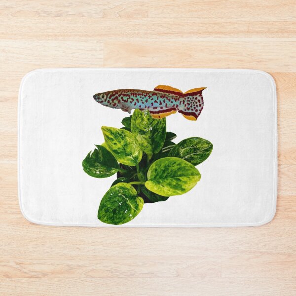 Item preview, Gardneri and gold anubias designed and sold by killies.