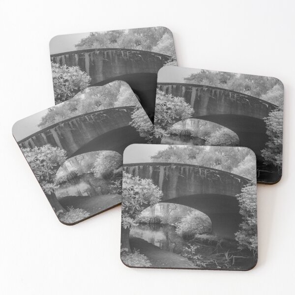 Item preview, untitled (bridge at lost lagoon) designed and sold by jackson photografix.