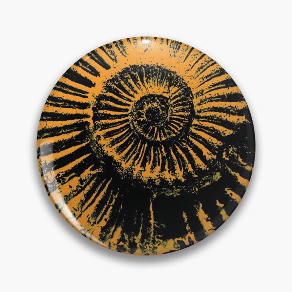 Item preview, Paleontologists gift idea - Ammonite fossil designed and sold by DiggerGifts4U.