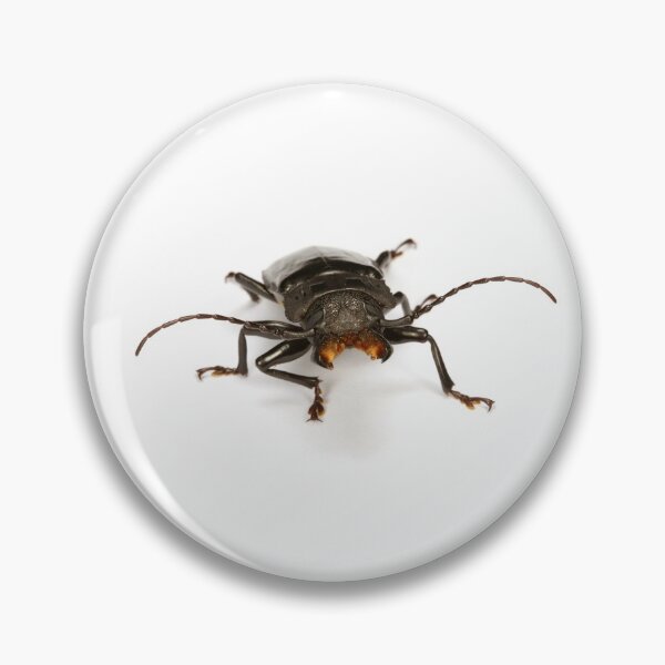 Item preview, Dangerous Tropical beetle designed and sold by Warren  Photographic.