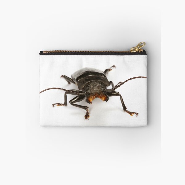 Item preview, Dangerous Tropical beetle designed and sold by Warren  Photographic.
