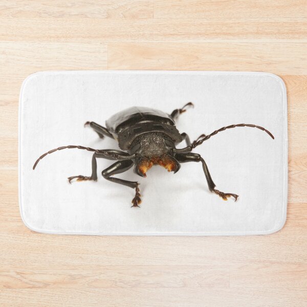Item preview, Dangerous Tropical beetle designed and sold by Warren  Photographic.