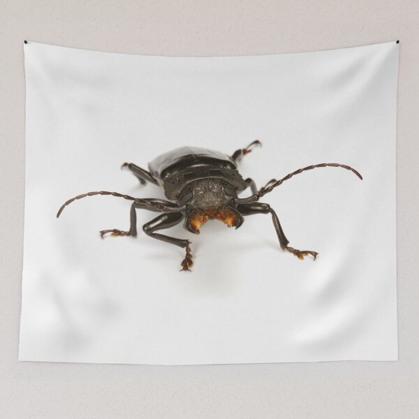 Item preview, Dangerous Tropical beetle designed and sold by Warren  Photographic.