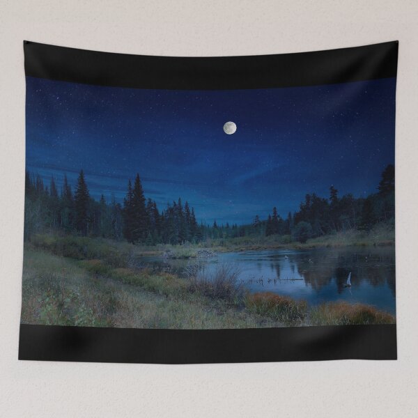 Item preview, Beaver Moon over Beaver Pond. designed and sold by Alex Preiss.