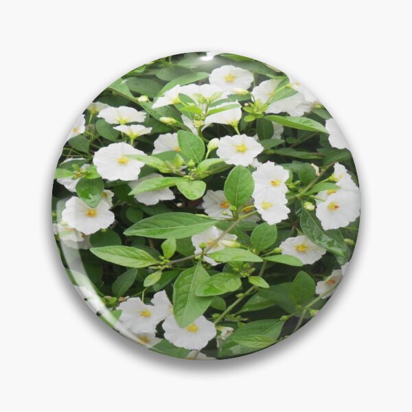 Item preview, Petunia Flowers with white petals and yellow centers - Cute Floral designed and sold by Vero De.