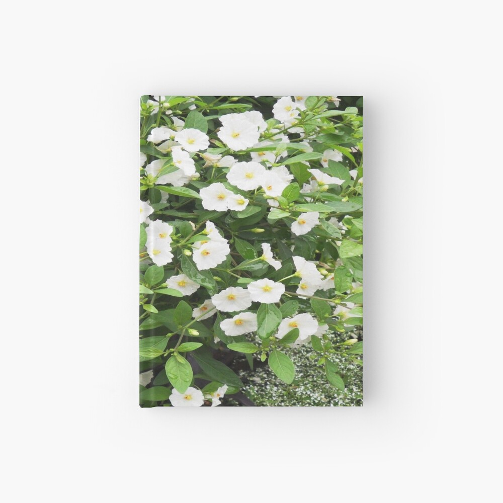 Cuaderno de espiral «Flores de petunia con pétalos blancos y centros  amarillos - Cute Floral» de LisetteV | Redbubble