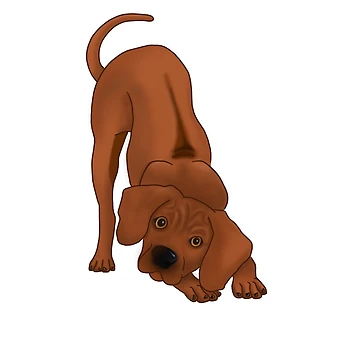 Artwork thumbnail, Playful Rhodesian Ridgeback Pup by Mat Dixon