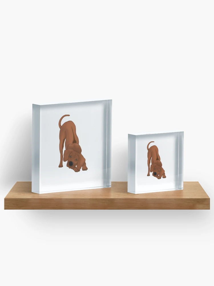 Thumbnail 3 of 5, Acrylic Block, Playful Rhodesian Ridgeback Pup designed and sold by Mat Dixon.