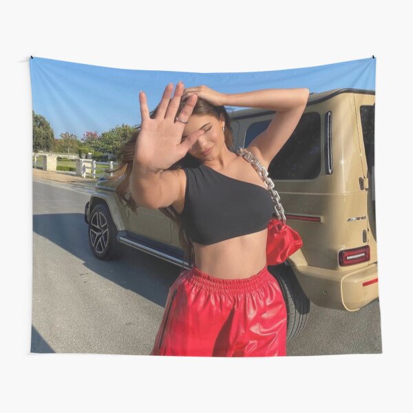 Aperçu de l'œuvre Kylie jenner tapestries tapestry créée et vendue par Mattingame.