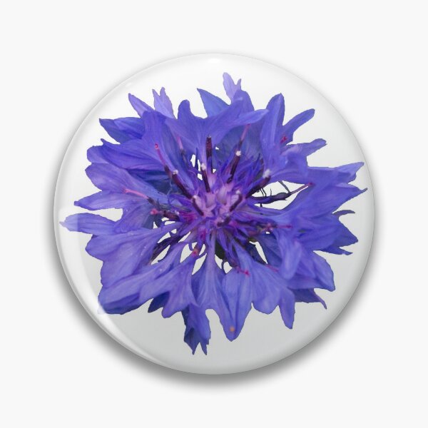 Item preview, Bachelor button designed and sold by StevenElliot.