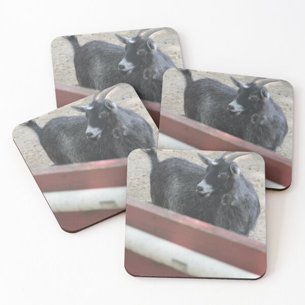 Item preview, Goat at the Farm Photograph designed and sold by sjtbriker.