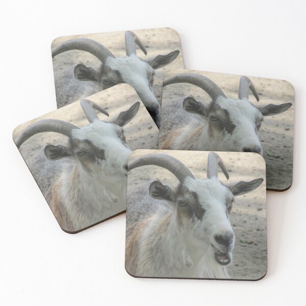 Item preview, Goat "Baa" Photograph designed and sold by sjtbriker.