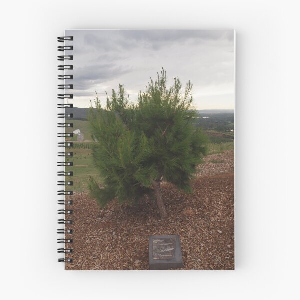 Item preview, Pine  designed and sold by Tom McDonnell.