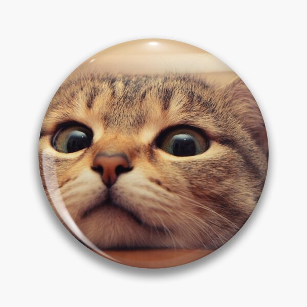 Item preview, Sweet cat designed and sold by Billlogan.