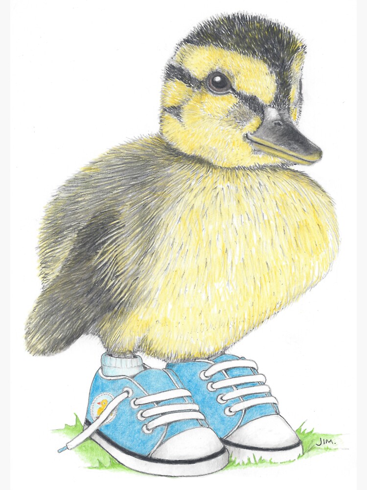 Thumbnail 3 of 3, Sticker, Duckling in sneakers designed and sold by JimsBirds.