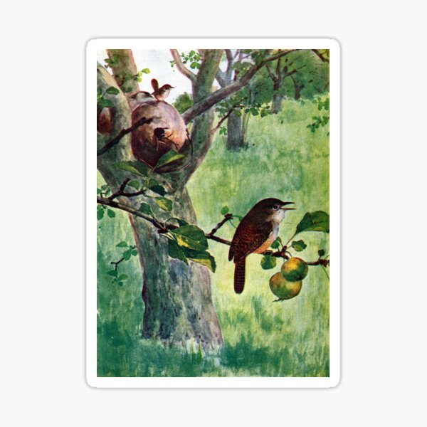 Item preview, House Wren in Apple Tree designed and sold by fenneltea.