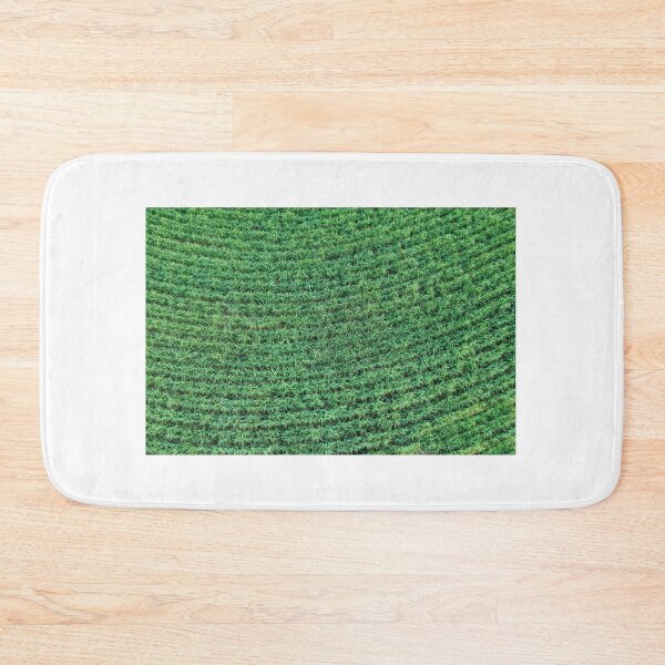Item preview, aerial view green sugar cane field designed and sold by Alf Ribeiro.