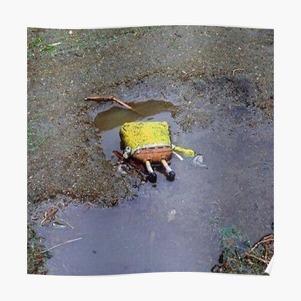 "Sponge In the Gutter" Poster for Sale by Redbubble