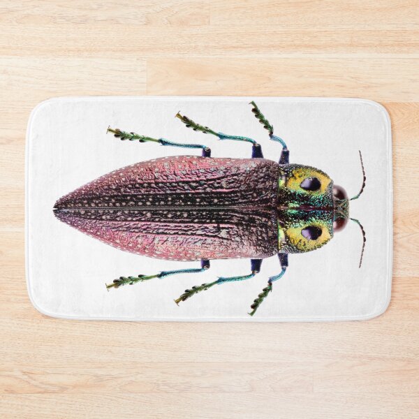 Item preview, Jewel Beetle (Lampropepla rothschildi) designed and sold by Tim Christensen.