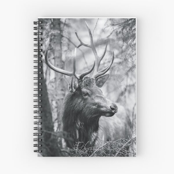 Item preview, Deer Roaming the Wilderness designed and sold by Alladin7.