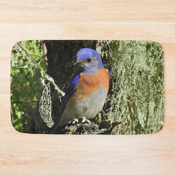 Item preview, Wildlife, gifts, birds, Western bluebird designed and sold by Sandra O'Toole.