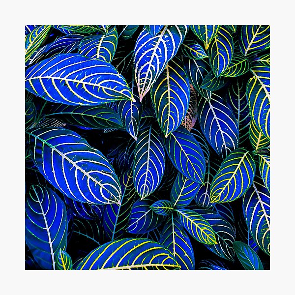 Item preview, Magical blue leaves of nature designed and sold by KarlaHR.
