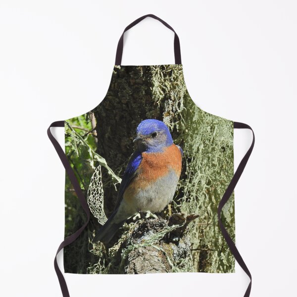 Item preview, Wildlife, gifts, birds, Western bluebird designed and sold by Sandra O'Toole.