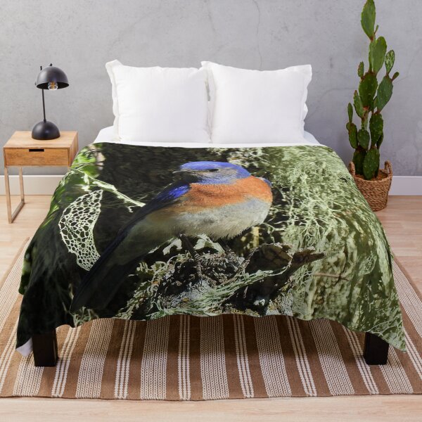 Item preview, Wildlife, gifts, birds, Western bluebird designed and sold by Sandra O'Toole.