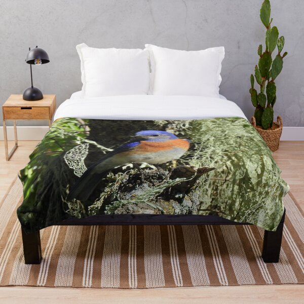 Item preview, Wildlife, gifts, birds, Western bluebird designed and sold by Sandra O'Toole.