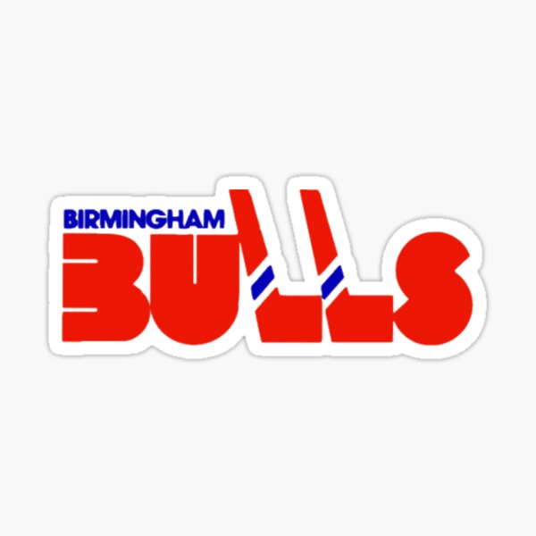 Birmingham Bulls Hockey | Vintage Sports Apparel | Old School Shirts