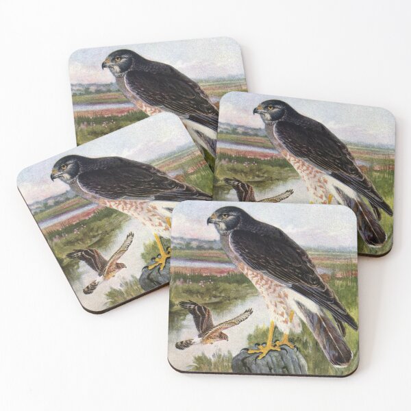 Item preview, Marsh Hawk in Wetlands designed and sold by fenneltea.