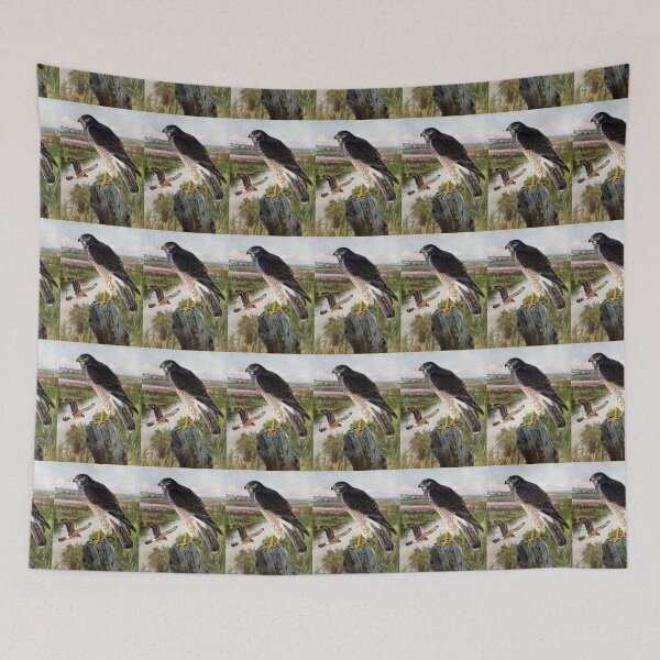 Item preview, Marsh Hawk in Wetlands designed and sold by fenneltea.