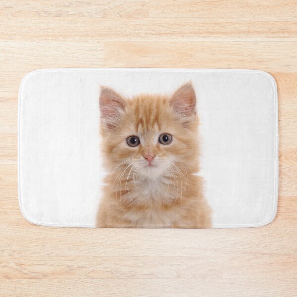 Item preview, Fluffy ginger kitten designed and sold by Warren  Photographic.