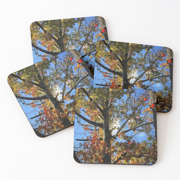 Item preview, Rays of Autumn Sunshine designed and sold by XXX Zombieboy XXX.