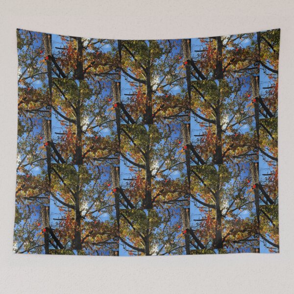 Item preview, Rays of Autumn Sunshine designed and sold by XXX Zombieboy XXX.