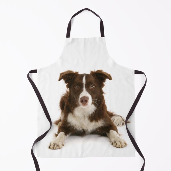 Item preview, Chocolate Border Collie designed and sold by Warren Photographic.