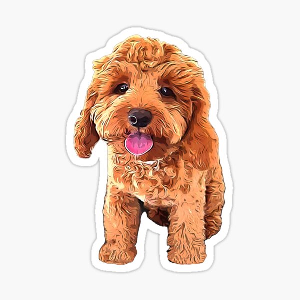 Item preview, Spoodle Cockapoo Cavapoo Golden Doodle Beauty designed and sold by ElegantCat.