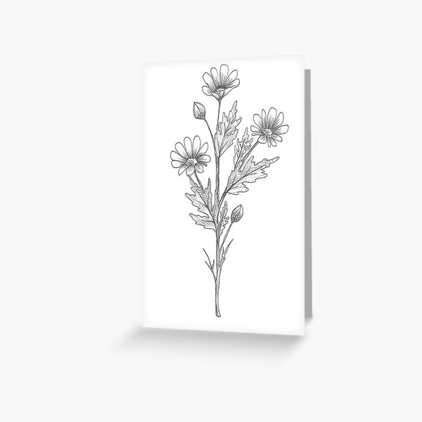 Wild Daisy Stem Greeting Card
