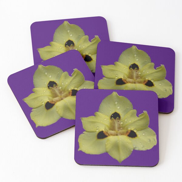 Item preview, Yellow Pansy designed and sold by StevenElliot.