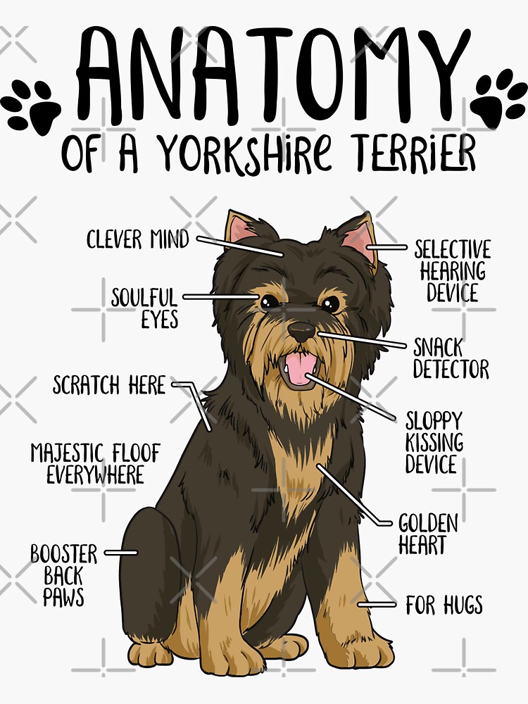 "Funny Yorkshire Terrier Anatomy Yorkie Dog Lover Gift" Sticker for