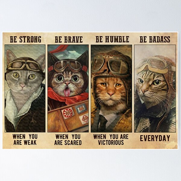 Scared Cat Posters for Sale