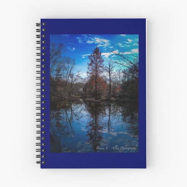 Item preview, Reflejo del agua del parque de Copenhaver designed and sold by BryanAllenPhoto.