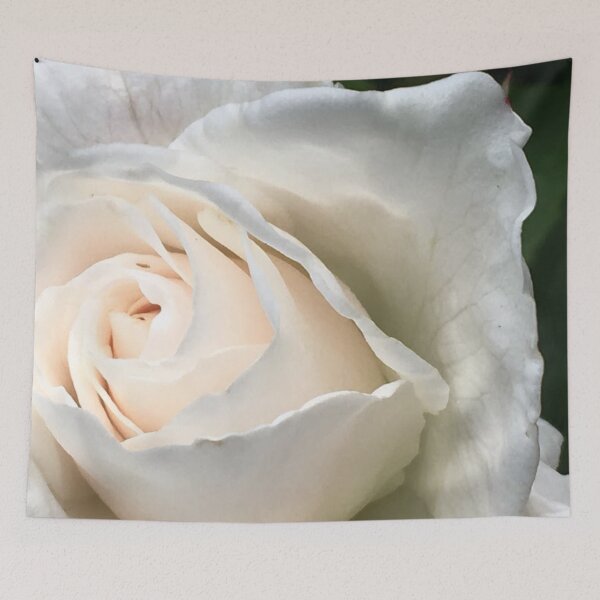 Item preview, Roses, Divine - The White Rose designed and sold by RoseAromas.