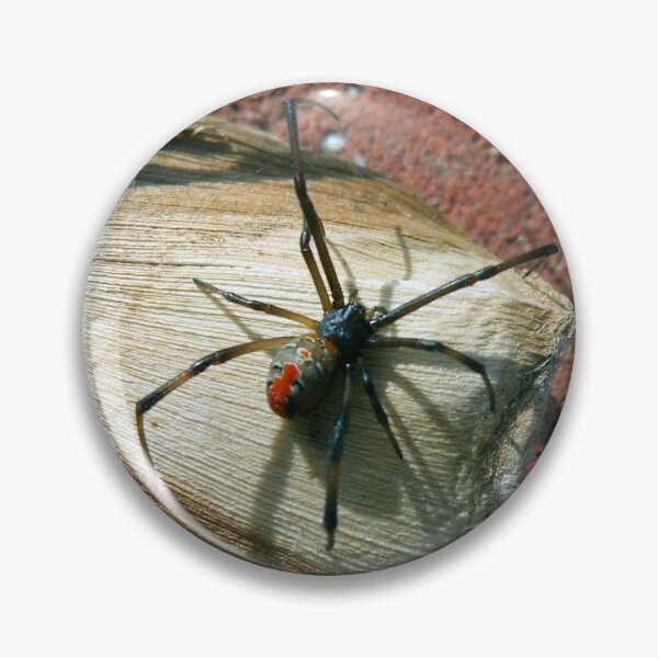 Item preview, Beware - Redback designed and sold by Deborah Clearwater.