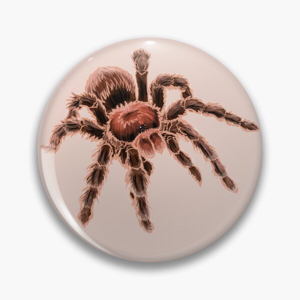 Item preview, Chilean Rose Hair Tarantula designed and sold by RJKpoyp.