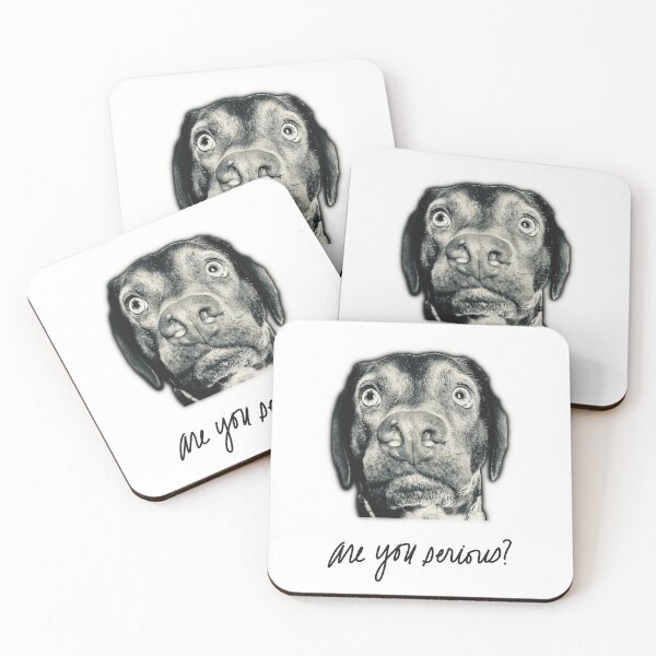 Item preview, Are You Serious? designed and sold by cherdoodles.