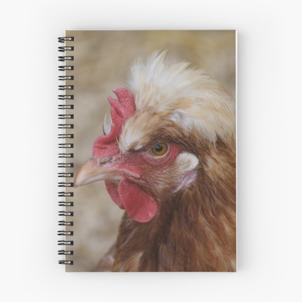 Item preview, Sulmtaler Hen designed and sold by Mythos57.
